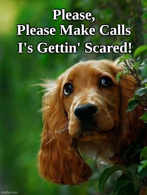 Spaniel Gettin Scared | Please, Please Make Calls; I's Gettin' Scared! | image tagged in spaniel please call,spaniel get scared | made w/ Imgflip meme maker