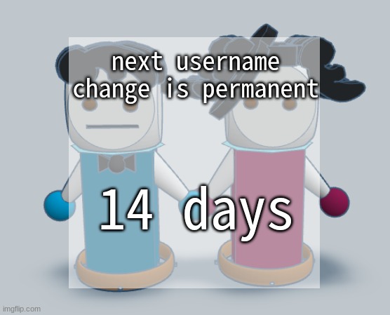 The Announcement Template | next username change is permanent; 14 days | image tagged in the announcement template | made w/ Imgflip meme maker