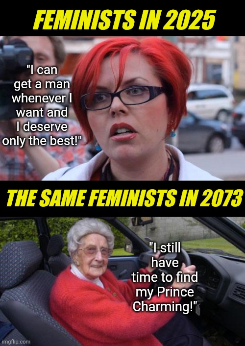 Unless you don't age ladies, you DON'T have nearly as much time as you hope you have... | FEMINISTS IN 2025; "I can get a man whenever I want and I deserve only the best!"; THE SAME FEMINISTS IN 2073; "I still have time to find my Prince Charming!" | image tagged in angry feminist,aging,marriage,expectation vs reality,liberal hypocrisy,modern problems | made w/ Imgflip meme maker