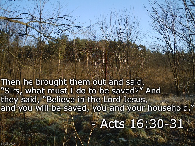 salvation | Then he brought them out and said, “Sirs, what must I do to be saved?” And they said, “Believe in the Lord Jesus, and you will be saved, you and your household.”; - Acts 16:30-31 | image tagged in christianity | made w/ Imgflip meme maker