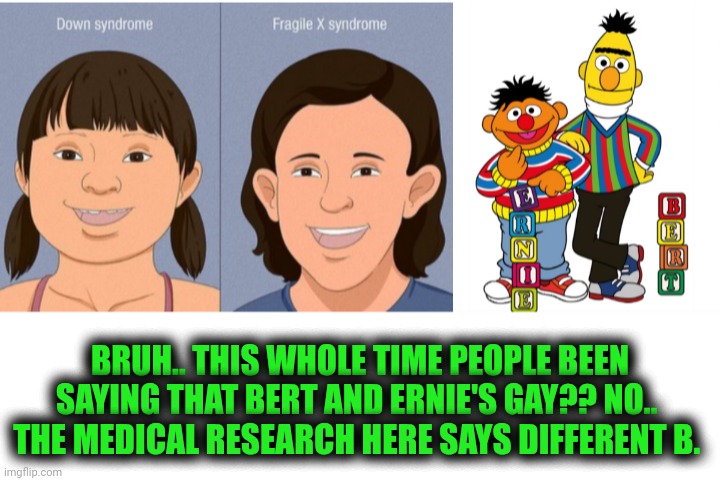 Funny | BRUH.. THIS WHOLE TIME PEOPLE BEEN SAYING THAT BERT AND ERNIE'S GAY?? NO.. 
THE MEDICAL RESEARCH HERE SAYS DIFFERENT B. | image tagged in funny,i diagnose you with gay,bert and ernie,medical,wrong,answers | made w/ Imgflip meme maker