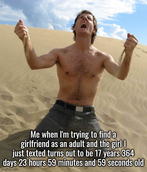 NOOOOOOO!!!!! | Me when I'm trying to find a girlfriend as an adult and the girl I just texted turns out to be 17 years 364 days 23 hours 59 minutes and 59 seconds old | image tagged in nooooooo | made w/ Imgflip meme maker