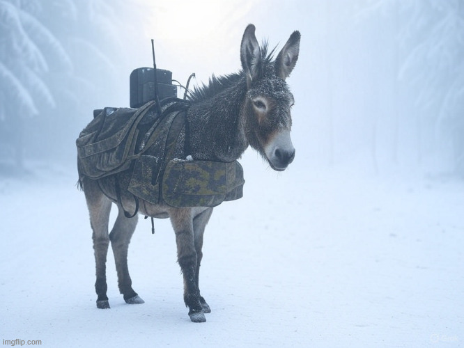 Snowbound Combat Donkey | image tagged in donkey,military,snow,forest | made w/ Imgflip meme maker