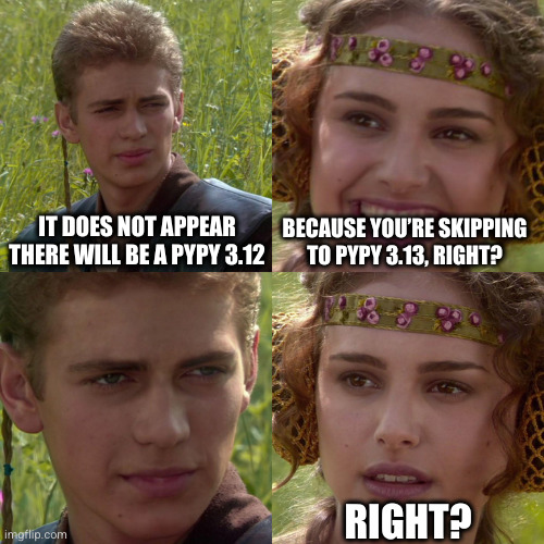 Anakin Padme 4 Panel | IT DOES NOT APPEAR THERE WILL BE A PYPY 3.12; BECAUSE YOU’RE SKIPPING TO PYPY 3.13, RIGHT? RIGHT? | image tagged in anakin padme 4 panel | made w/ Imgflip meme maker