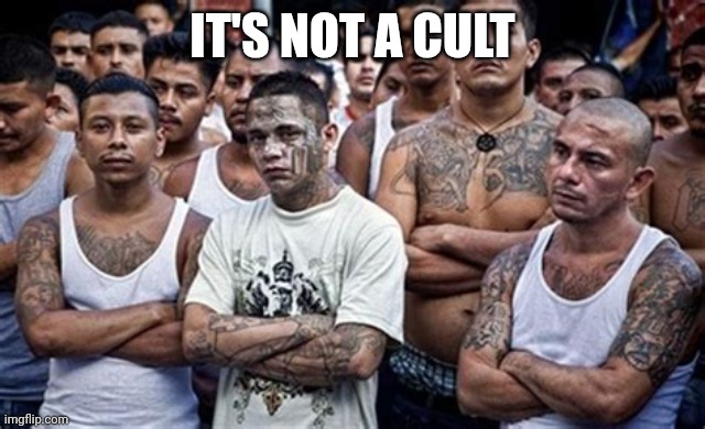 MS13 Family Pic | IT'S NOT A CULT | image tagged in ms13 family pic | made w/ Imgflip meme maker