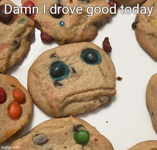 Sad cookie | Damn I drove good today | image tagged in sad cookie | made w/ Imgflip meme maker