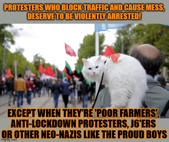 This #lolcat wonders if the freedom to protest is for every protester | PROTESTERS WHO BLOCK TRAFFIC AND CAUSE MESS,
DESERVE TO BE VIOLENTLY ARRESTED! EXCEPT WHEN THEY'RE 'POOR FARMERS', 
ANTI-LOCKDOWN PROTESTERS, J6'ERS 
OR OTHER NEO-NAZIS LIKE THE PROUD BOYS | image tagged in protest,protesters,neo-nazis,lolcat,hypocrisy | made w/ Imgflip meme maker
