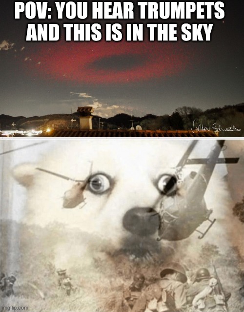 POV: YOU HEAR TRUMPETS AND THIS IS IN THE SKY | image tagged in ptsd dog,analog horror | made w/ Imgflip meme maker