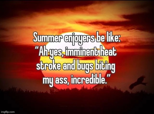 image tagged in msmg,summer | made w/ Imgflip meme maker