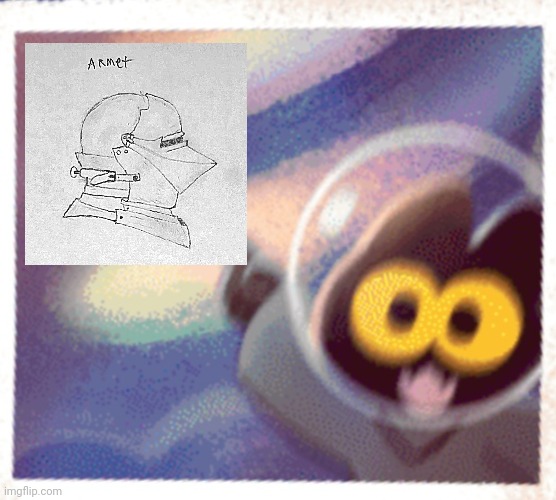 Helmet | image tagged in momo the cat pog | made w/ Imgflip meme maker
