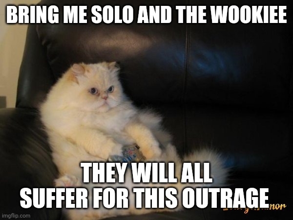 Fat Cat Watching TV Black Couch | BRING ME SOLO AND THE WOOKIEE THEY WILL ALL SUFFER FOR THIS OUTRAGE | image tagged in fat cat watching tv black couch | made w/ Imgflip meme maker