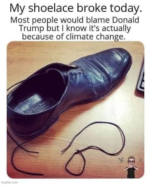 Trump gets blamed for EVERYTHING. I thank him for saving our country from leftist lunacy. | image tagged in donald trump,tds,trump derangement syndrome,climate change,liberalism is a mental disorder | made w/ Imgflip meme maker