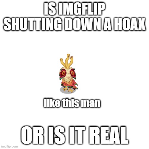 a question that needs to be answered | IS IMGFLIP SHUTTING DOWN A HOAX; like this man; OR IS IT REAL | image tagged in memes,hoax,owlesque,imgflip | made w/ Imgflip meme maker
