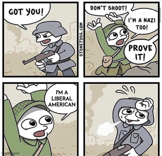 Do as they say not as they do | I'M A LIBERAL AMERICAN | image tagged in don't shoot i'm a nazi too,liberal,well yes but actually no,superior royalty,you guys always act like you're better than me | made w/ Imgflip meme maker