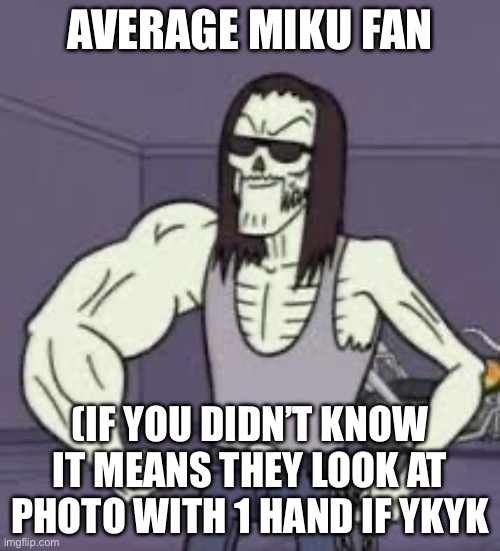 If you still don’t understand, idk what to say except in comments | AVERAGE MIKU FAN; (IF YOU DIDN’T KNOW IT MEANS THEY LOOK AT PHOTO WITH 1 HAND IF YKYK | image tagged in miku fan | made w/ Imgflip meme maker