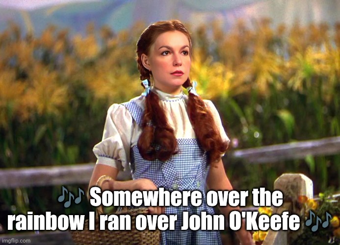 Karen Read | 🎶 Somewhere over the rainbow I ran over John O'Keefe 🎶 | image tagged in karen,read,murder,trial | made w/ Imgflip meme maker