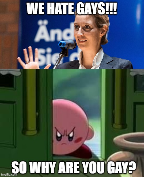 WE HATE GAYS!!! SO WHY ARE YOU GAY? | image tagged in afd alice weidel,pissed off kirby | made w/ Imgflip meme maker