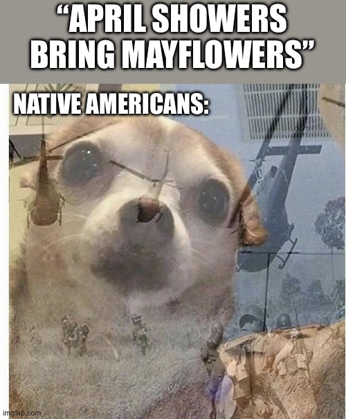 April showers | “APRIL SHOWERS BRING MAYFLOWERS”; NATIVE AMERICANS: | image tagged in ptsd chihuahua | made w/ Imgflip meme maker