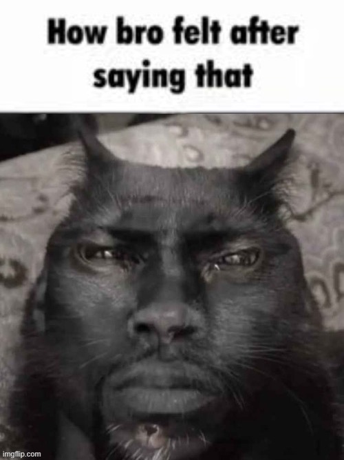image tagged in how bro felt after saying that | made w/ Imgflip meme maker