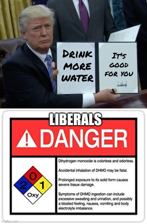 Drink more water It's good for you LIBERALS | image tagged in memes,trump bill signing,water hazard | made w/ Imgflip meme maker