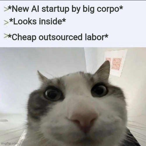 Cheap AI | *New AI startup by big corpo*; *Looks inside*; *Cheap outsourced labor* | image tagged in cat looks inside,ai,corporations,work | made w/ Imgflip meme maker