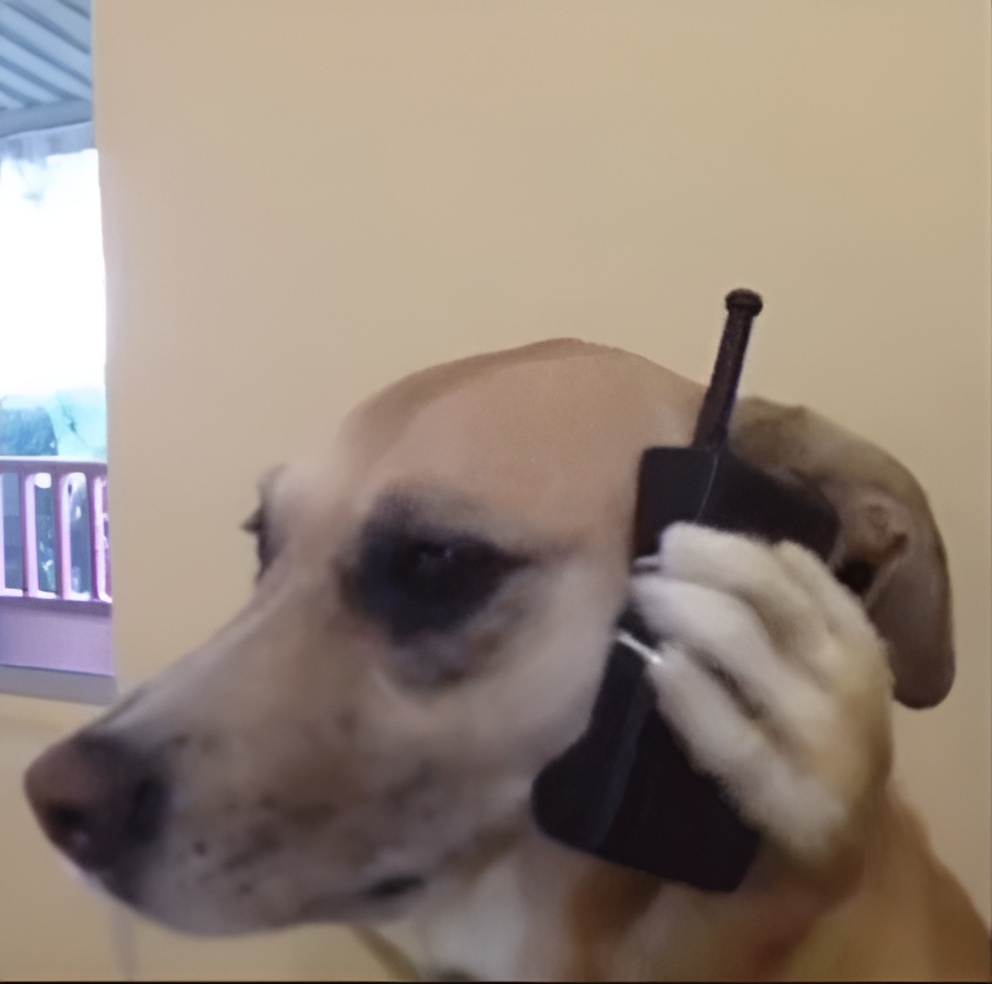 Aight, bet dog Blank Meme Template