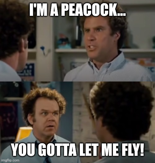 Peacock Bros | I'M A PEACOCK... YOU GOTTA LET ME FLY! | image tagged in step brothers best friends 2-frame,peacock | made w/ Imgflip meme maker