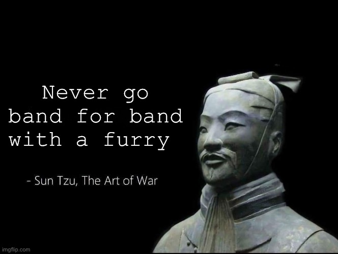 Sun Tzu Quotes | Never go band for band with a furry | image tagged in sun tzu quotes | made w/ Imgflip meme maker
