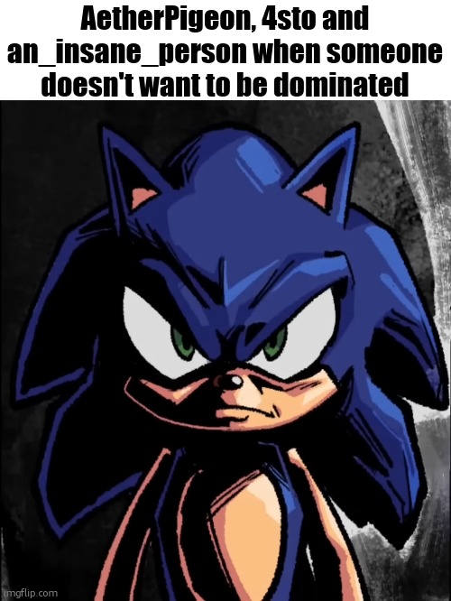 sonic staring at you | AetherPigeon, 4sto and an_insane_person when someone doesn't want to be dominated | image tagged in sonic staring at you | made w/ Imgflip meme maker