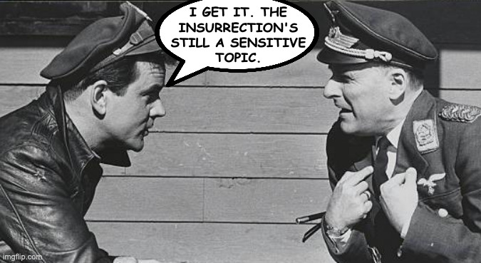 I GET IT. THE
INSURRECTION'S
STILL A SENSITIVE
TOPIC. | made w/ Imgflip meme maker