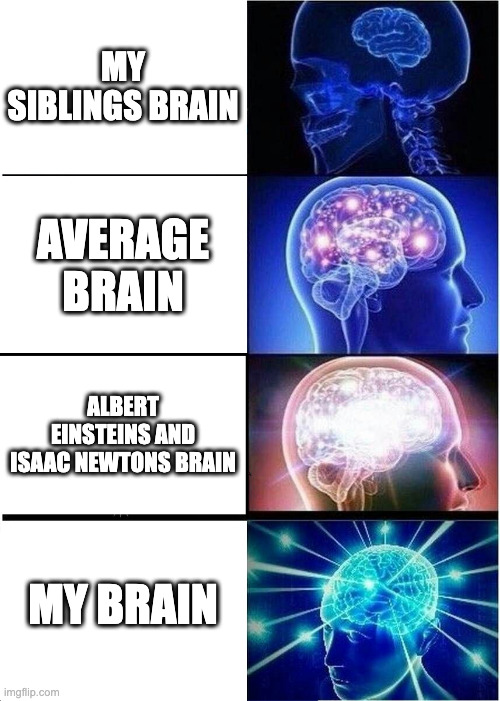 Expanding Brain | MY SIBLINGS BRAIN; AVERAGE BRAIN; ALBERT EINSTEINS AND ISAAC NEWTONS BRAIN; MY BRAIN | image tagged in memes,expanding brain | made w/ Imgflip meme maker