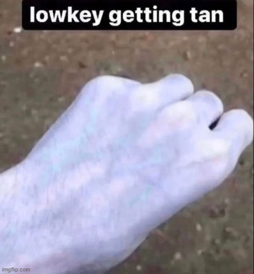 literally me | made w/ Imgflip meme maker
