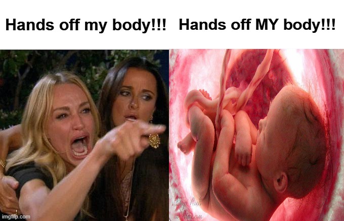 Whose Body? | Hands off my body!!! Hands off MY body!!! | image tagged in memes,woman yelling at cat,abortion,prolife,prochoice | made w/ Imgflip meme maker
