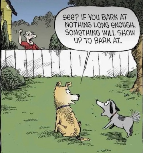 Barking At Nothing | image tagged in dogs,funny dog memes,barking,comics,angry,stfu | made w/ Imgflip meme maker