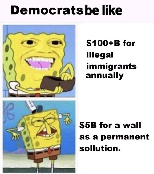 Demonicrats Are Imbeciles | image tagged in imbecilic,democrats,illegal immigration,brainwashed,automaton ai people,libtards | made w/ Imgflip meme maker