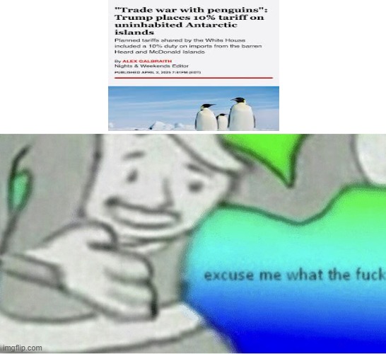 Excuse me wtf blank template | image tagged in excuse me wtf blank template | made w/ Imgflip meme maker