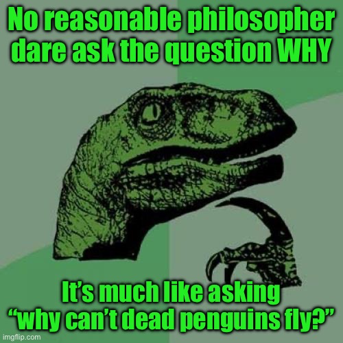 Philosoraptor | No reasonable philosopher dare ask the question WHY; It’s much like asking “why can’t dead penguins fly?” | image tagged in memes,philosoraptor | made w/ Imgflip meme maker