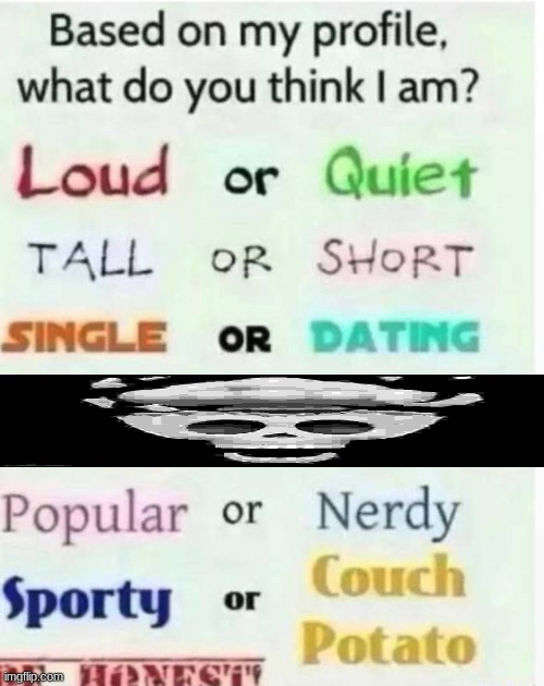based on my profile what do you think I am? | image tagged in based on my profile what do you think i am | made w/ Imgflip meme maker