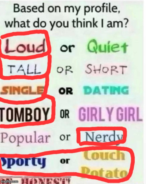 Here's actually the answers | image tagged in based on my profile what do you think i am | made w/ Imgflip meme maker