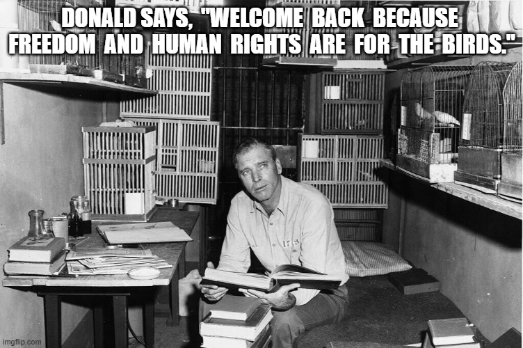 Why the Caged Bird Sings | DONALD SAYS,  "WELCOME  BACK  BECAUSE  FREEDOM  AND  HUMAN  RIGHTS  ARE  FOR  THE  BIRDS." | made w/ Imgflip meme maker