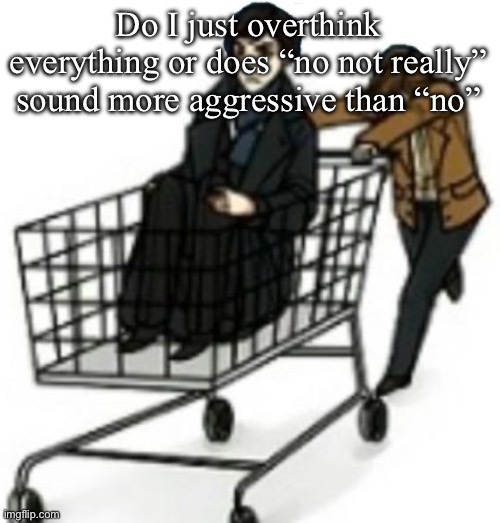 funny people | Do I just overthink everything or does “no not really” sound more aggressive than “no” | image tagged in funny people | made w/ Imgflip meme maker