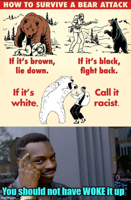 Bear attack | You should not have WOKE it up | image tagged in memes,roll safe think about it,bear attack | made w/ Imgflip meme maker