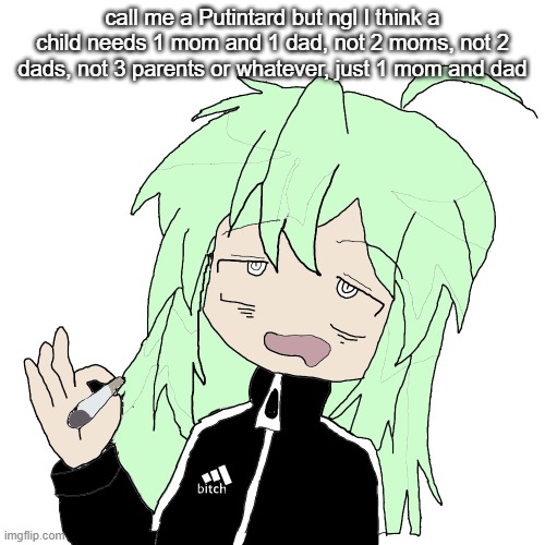 guh | call me a Putintard but ngl I think a child needs 1 mom and 1 dad, not 2 moms, not 2 dads, not 3 parents or whatever, just 1 mom and dad | image tagged in guh | made w/ Imgflip meme maker