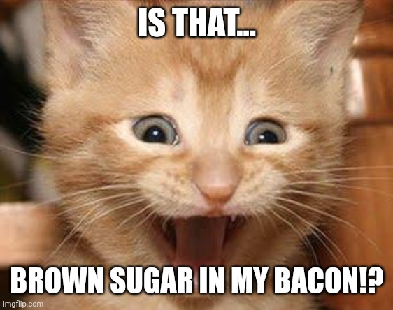 Brown Sugar Bacon | IS THAT... BROWN SUGAR IN MY BACON!? | image tagged in memes,excited cat,sugar,bacon,food | made w/ Imgflip meme maker
