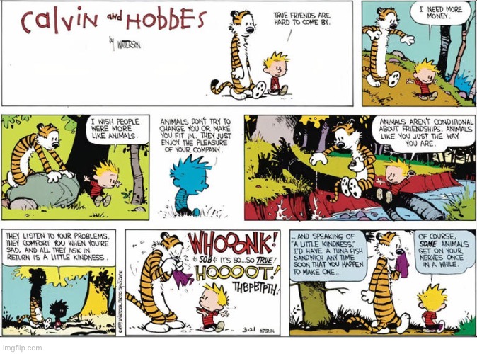 image tagged in calvin and hobbes,comics,animals are great,pals | made w/ Imgflip meme maker