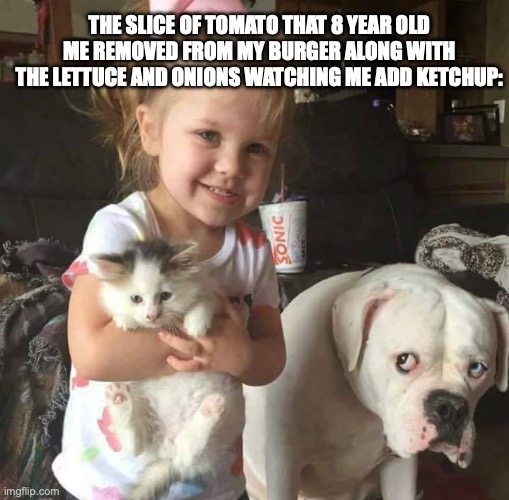 vegetables are healthy except when they're on burgers | THE SLICE OF TOMATO THAT 8 YEAR OLD ME REMOVED FROM MY BURGER ALONG WITH THE LETTUCE AND ONIONS WATCHING ME ADD KETCHUP: | image tagged in replaced,relatable memes,memes,picky eater | made w/ Imgflip meme maker