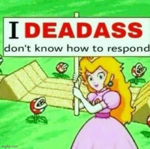 I deadass don't know how to respond | image tagged in i deadass don't know how to respond | made w/ Imgflip meme maker