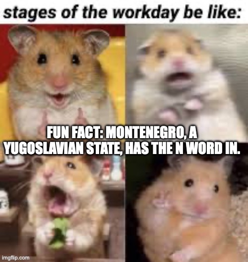 FUN FACT: MONTENEGRO, A YUGOSLAVIAN STATE, HAS THE N WORD IN. | made w/ Imgflip meme maker