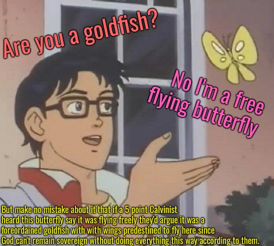 Make No Mistake About It | Are you a goldfish? No I'm a free flying butterfly; But make no mistake about it that if a 5 point Calvinist heard this butterfly say it was flying freely they'd argue it was a foreordained goldfish with with wings predestined to fly here since God can't remain sovereign without doing everything this way according to them. | image tagged in calvinism,arminian,molinism,reformed theology 5 point calvinists,make no mistake about it,ai gnostic crap | made w/ Imgflip meme maker