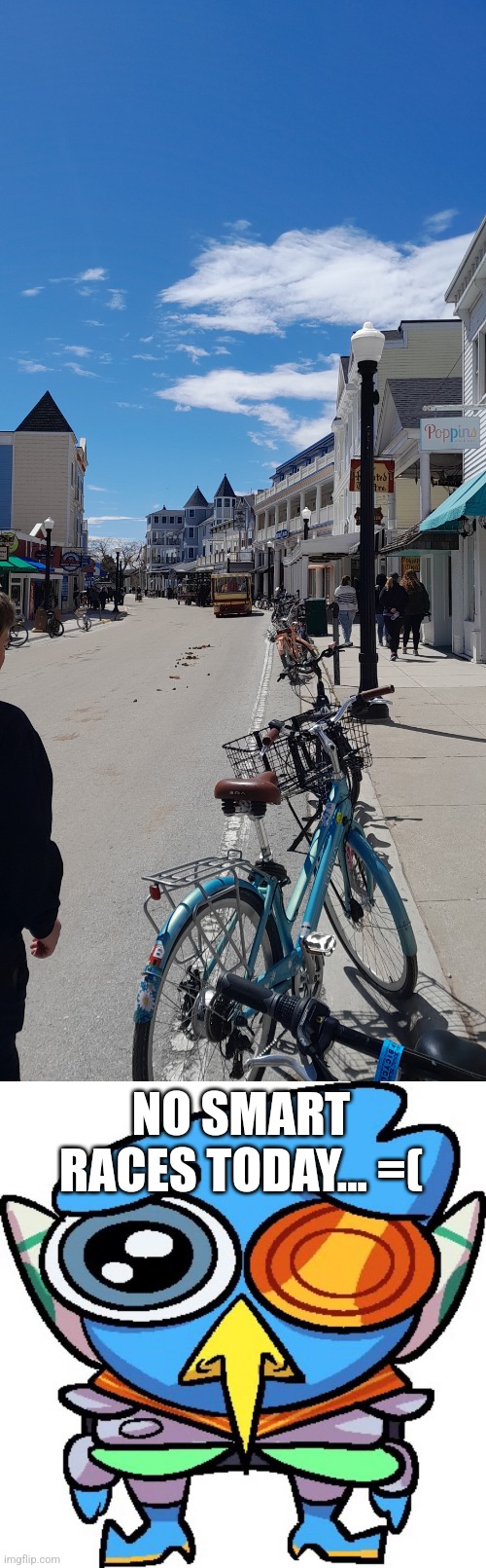 No cars in Mackinac Island... | NO SMART RACES TODAY... =( | image tagged in sad berdly,cars,deltarune,geography | made w/ Imgflip meme maker